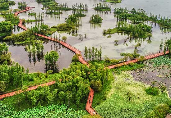 Flood Elevation Certificates
